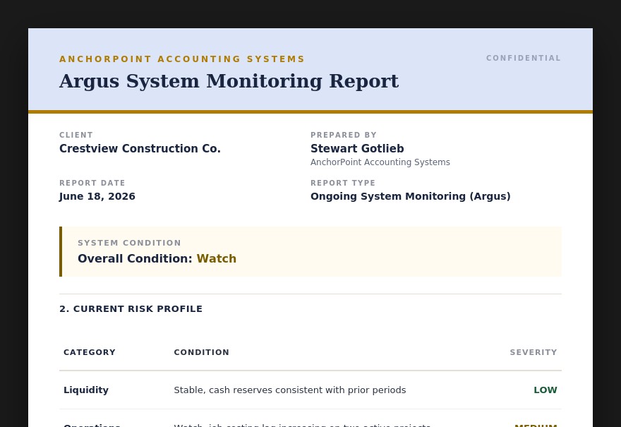 Sample Argus System Monitoring Report cover